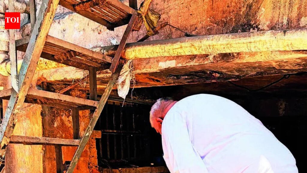 Toxic gas kills 3 in Ludhiana factory tank. | Ludhiana News