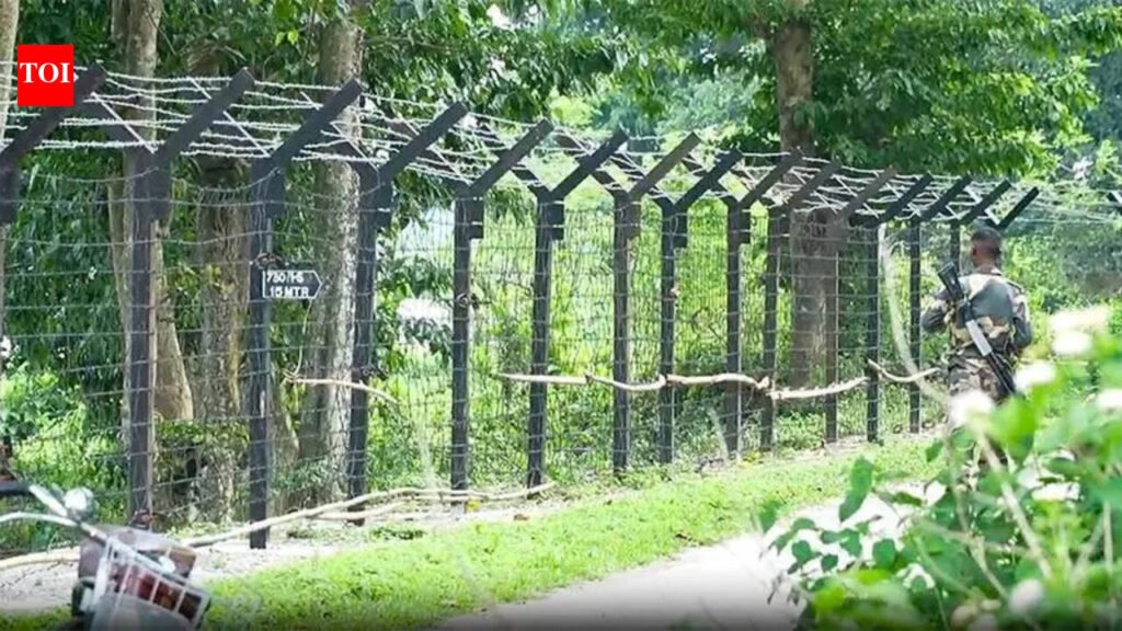 BSF pushes back 17 Bangladeshis through Murshidabad border | Kolkata News