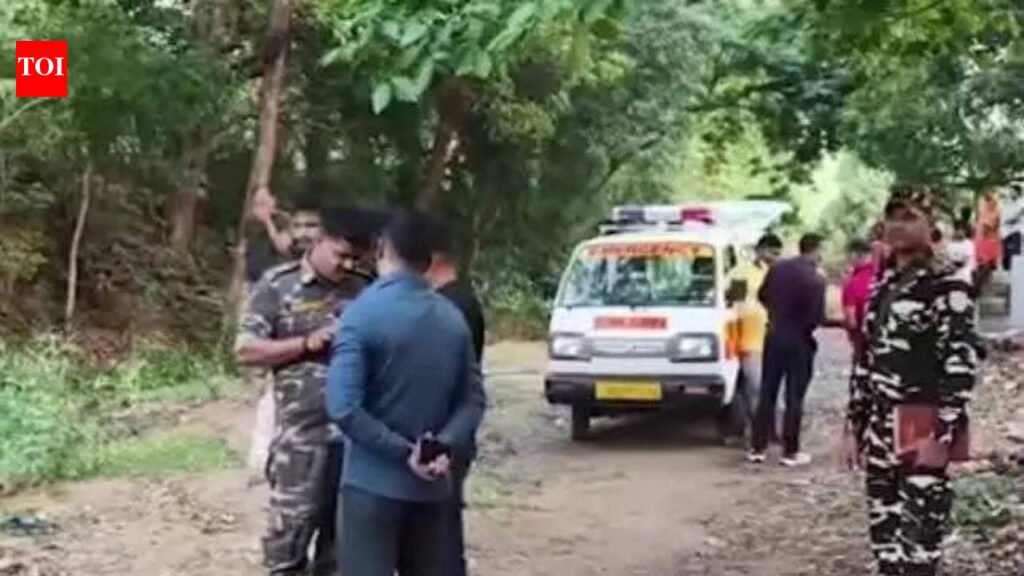 Bodies of missing girl, toddler brother found in Hazaribag | Ranchi News
