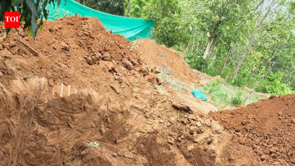 3 held for killing & burying elephant in Dhenkanal orchard | Bhubaneswar News