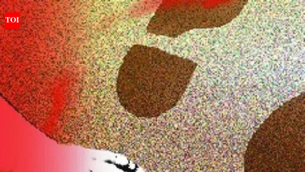 Nasrapur rape and murder case: Court records evidence of four prosecution witnesses | Pune News