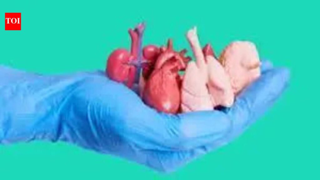 How state’s organ transplant order is killing people it meant to save | Chennai News