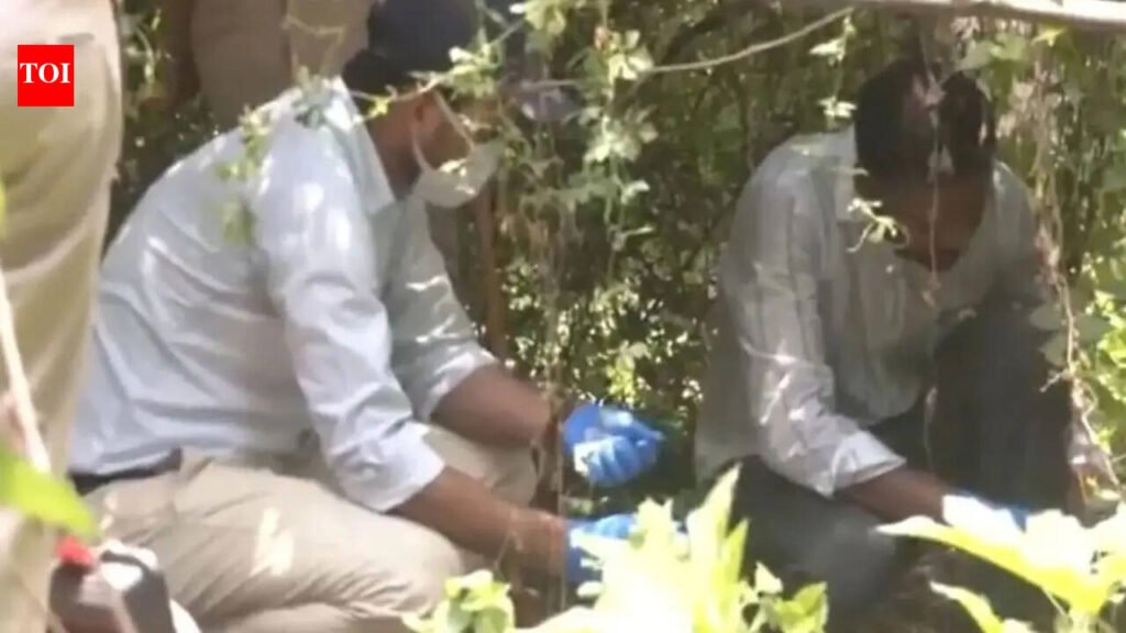 Severed human head found near railway tracks in Patna | Patna News