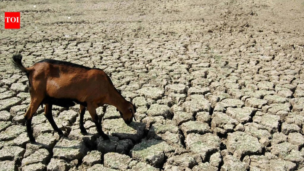 Southwest monsoon onset over Jharkhand likely on time: Met office | Ranchi News