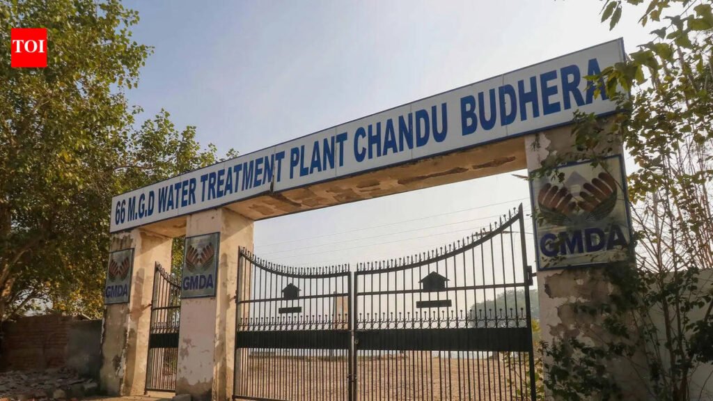 Make water plan for Gurgaon, keep 2051 population in mind: Minister | Gurgaon News