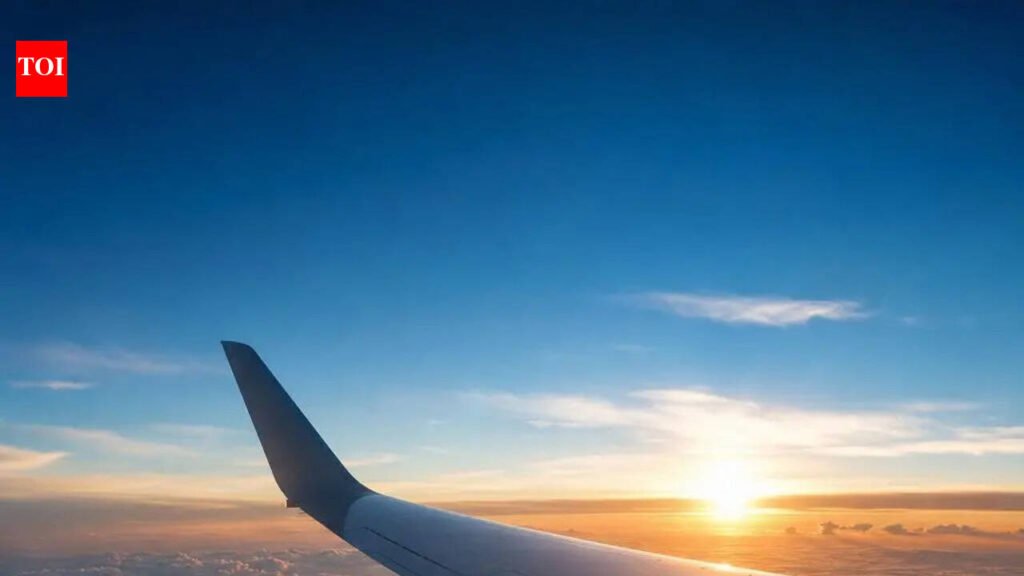 SAS Flight to Mumbai Returns to Copenhagen After Regulatory Delay | Mumbai News