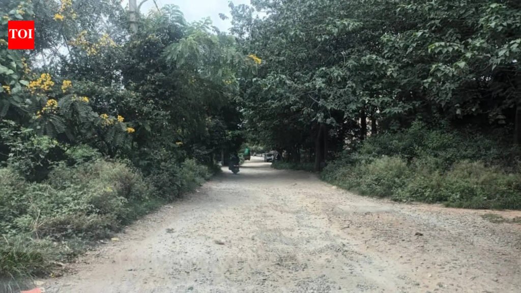Residents spend own money to keep Bengaluru’s Jalahalli road usable during monsoon | Bengaluru News