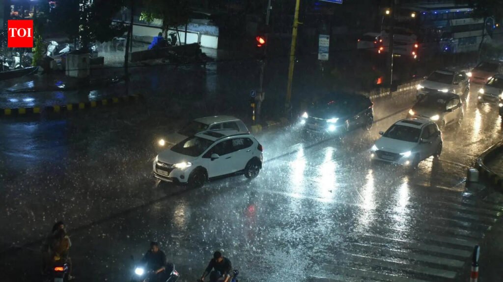 Gujarat ready to achieve zero-casualty monsoon goal: Chief secretary | Ahmedabad News