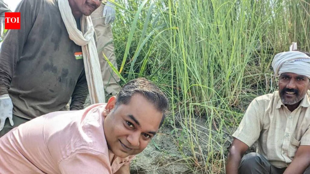31 gharial hatchlings released into Gandak | Patna News