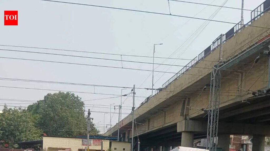 Rubberised track crossings to ease parcel movement at Patna Junction | Patna News