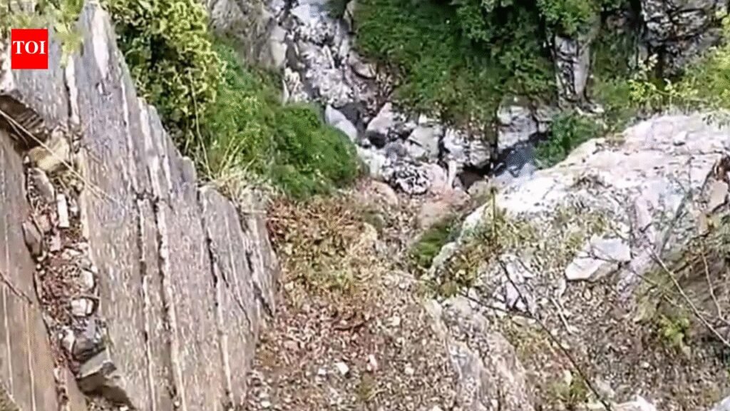 Army officer dies after falling into gorge during anti-terror operation in J&K’s Rajouri | India News