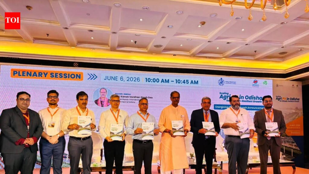 State unveils energy action plan, wind resource | Bhubaneswar News