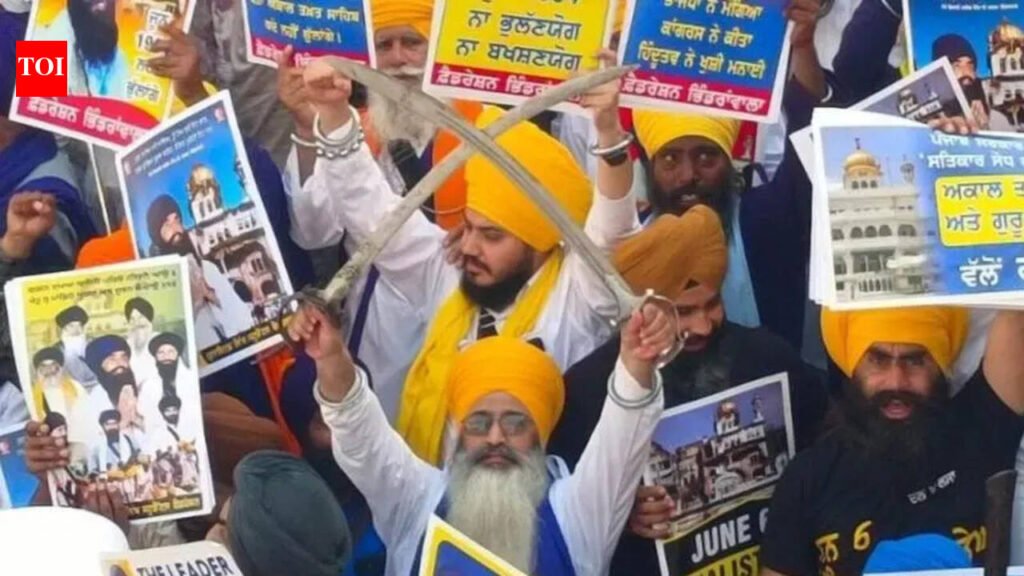 On Op Blue Star anniversary, Jathedar’s call to Sikhs to stay true to roots | Chandigarh News