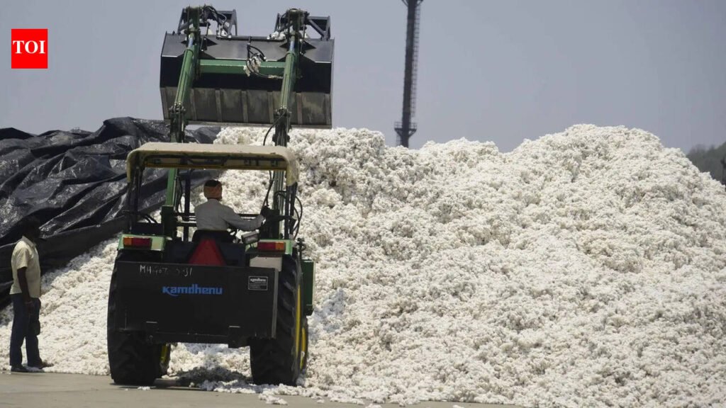 Import duty waiver on cotton to boost Gujarat textile sector competitiveness | Ahmedabad News