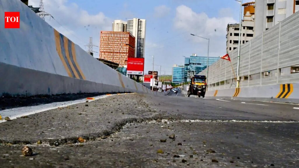 Mumbai’s Rs 248 crore Mrinal Tai Gore flyover faces backlash hours after opening over ‘patchy’ surface | Mumbai News