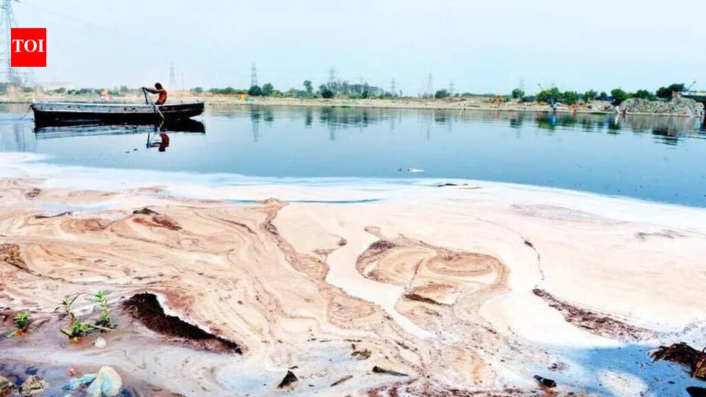 Govt to launch new campaign to clean Yamuna | Delhi News