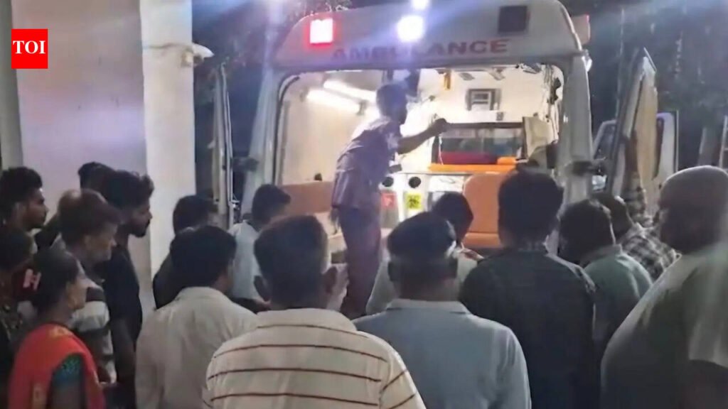 Four killed as van on wrong side collides with truck on Delhi-Mumbai Expressway | Vadodara News