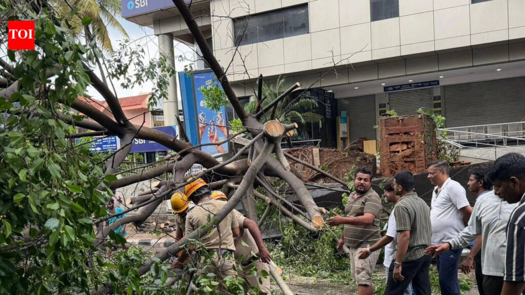 Massive tree, collapsed wall crush bus shelter in Bengaluru | Bengaluru News