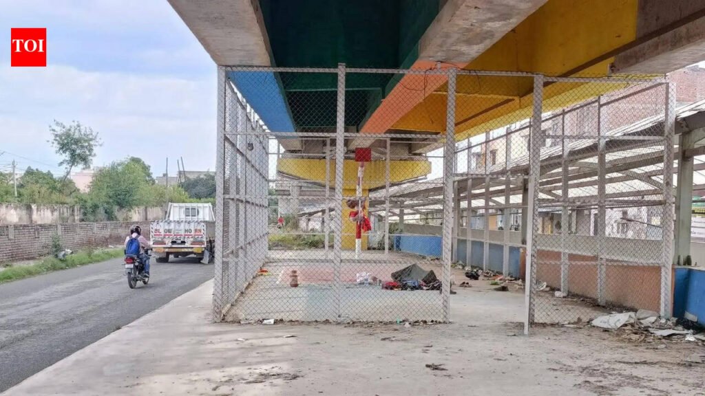 Sports hubs under flyovers left to rot in Ludhiana. | Ludhiana News
