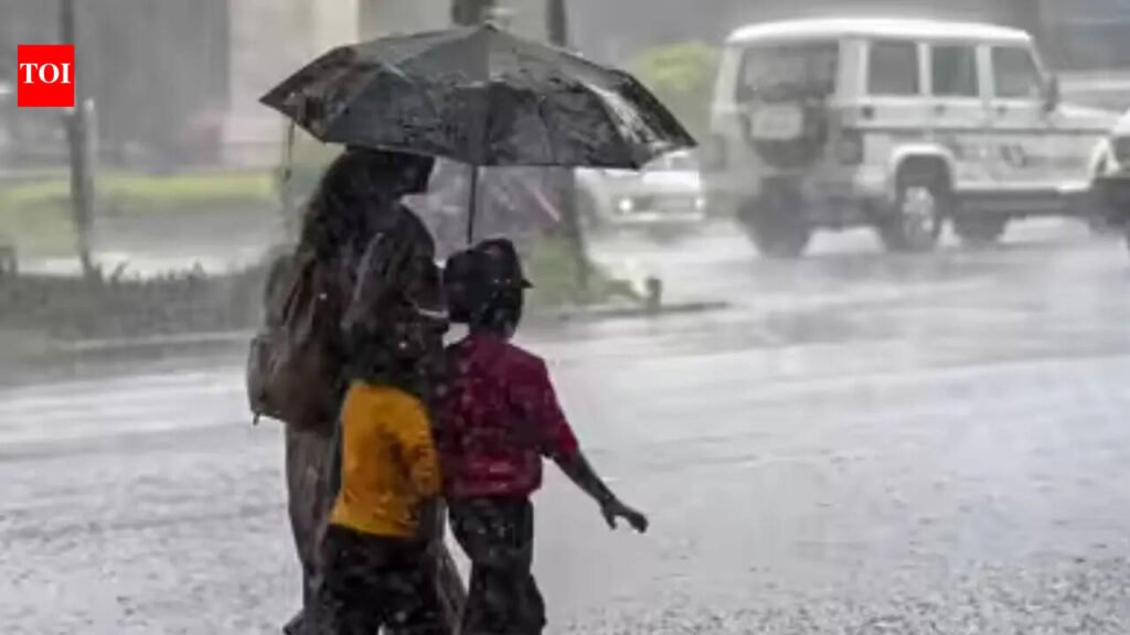 Heavy rain warning for Karnataka; IMD issues red alerts in multiple districts | Bengaluru News