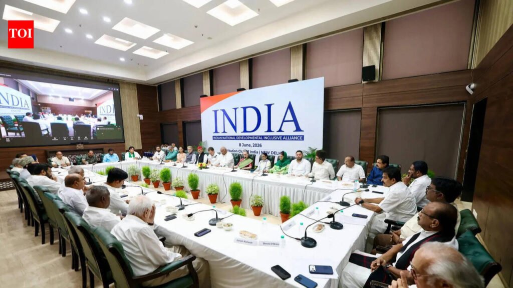 INDIA bloc holds key meeting: Rahul Gandhi, Mamata Banerjee, Akhilesh Yadav among top leaders present; DMK stays away | India News