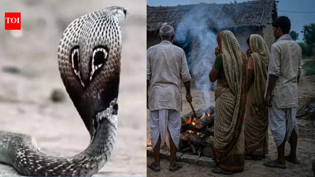 UP horror: Girl beaten to death, body secretly cremated; family tried to pass off death as snakebite | Lucknow News