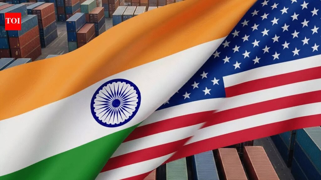 No future tariffs, fair rates, end ‘forced labour’ probe: What India wants from US trade deal