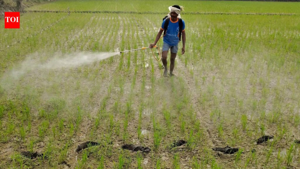 State agri dept report reveals widespread fertilisers black marketing | Pune News