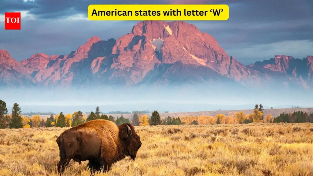 There are only 4 American states that begin with the letter ‘W’, and they hide some of the world’s most iconic wonders