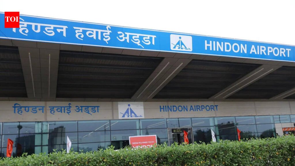No AI Express flights from Noida, Hindon airports for now | Delhi News