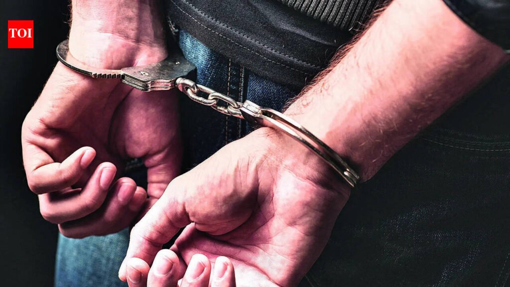 Customs arrests 2 for smuggling 15.4 Kg weed in geysers | Delhi News