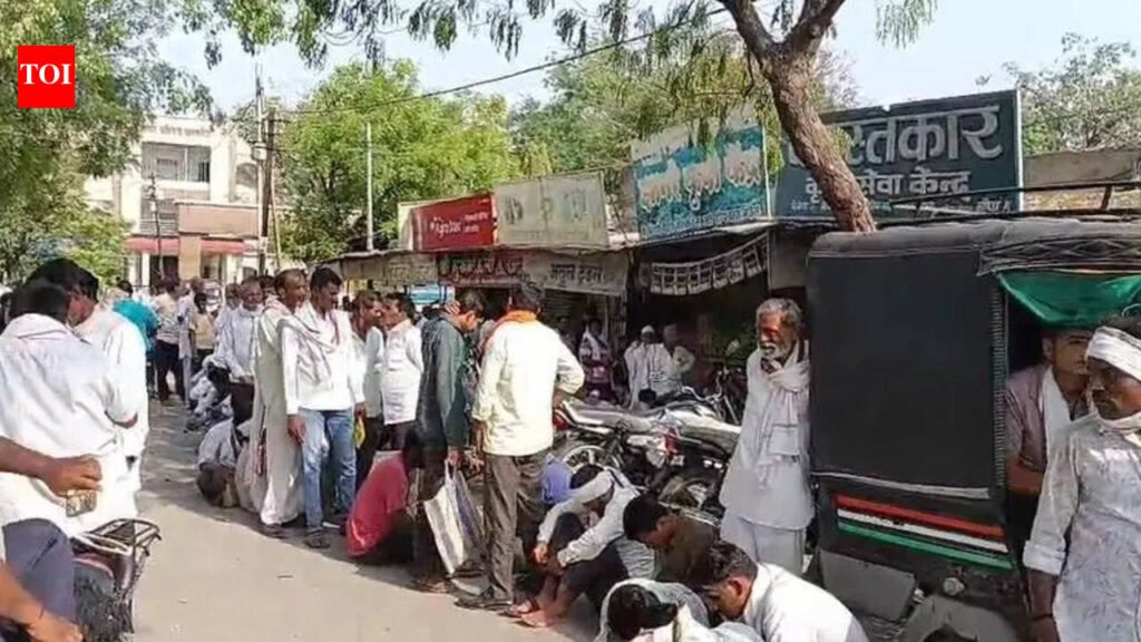 Urea shortage sparks chaos in Akot | Nagpur News