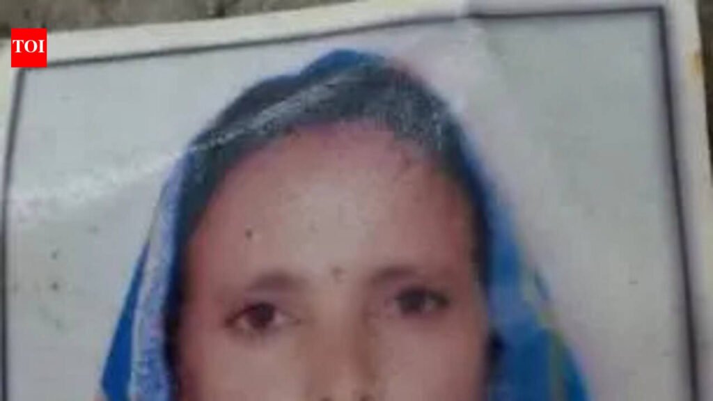 Drunk manhacks wife to death with axein Baran dist | Jaipur News