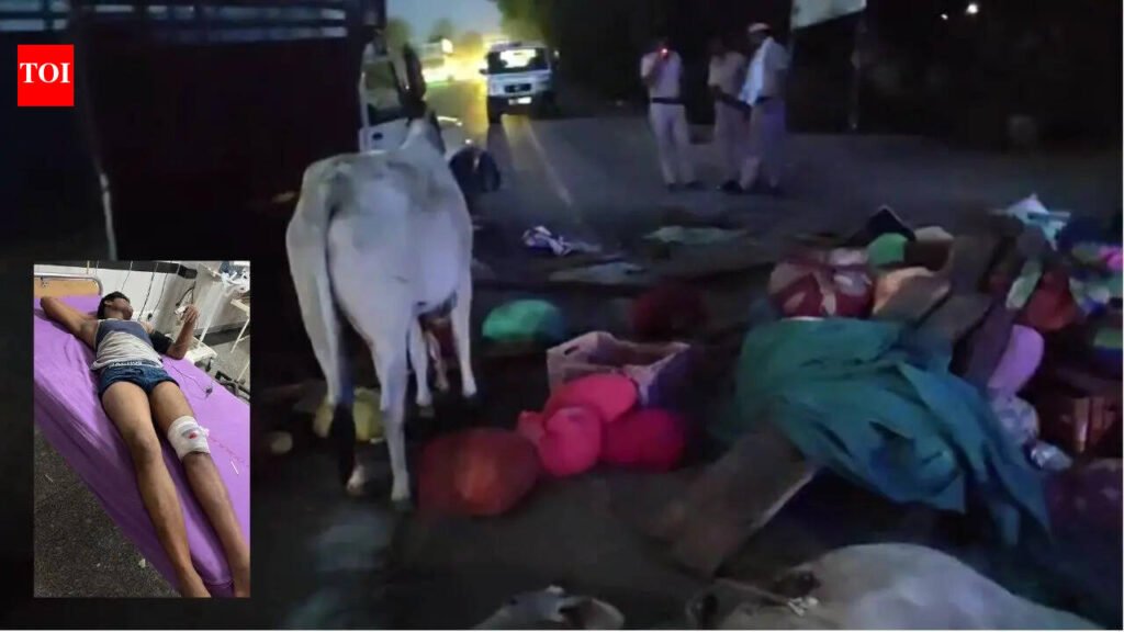 Cow smuggler injured in police encounter in Haryana, cattle rescued after chase on expressway | Gurgaon News