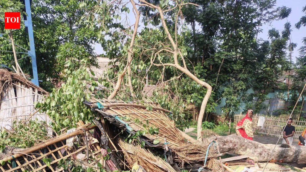 5 of family die as tree falls on house in Sitamarhi | Patna News