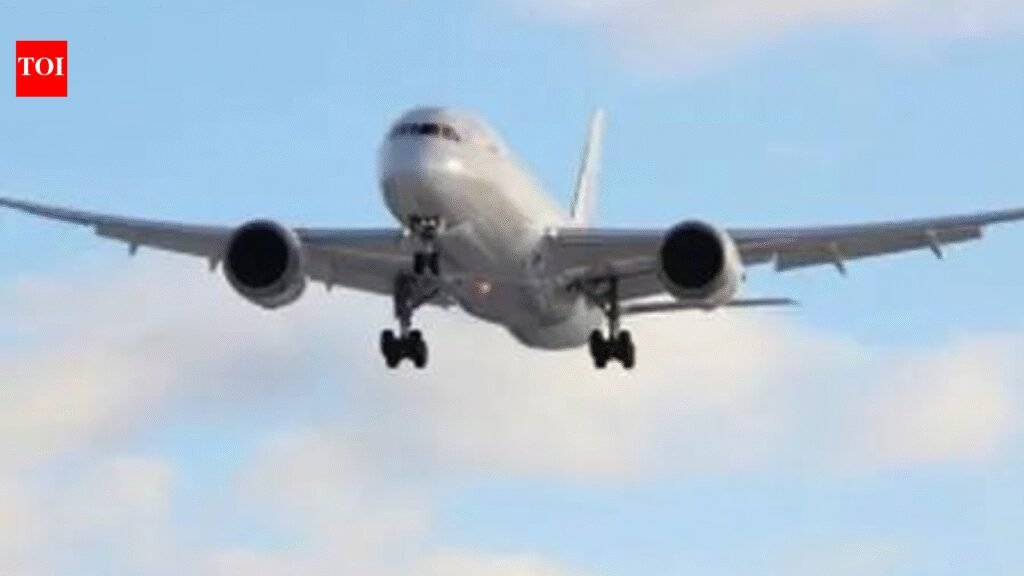 ATF price stabilisation plan: Jet fuel prices rise 10% as oil retailers roll out scheme