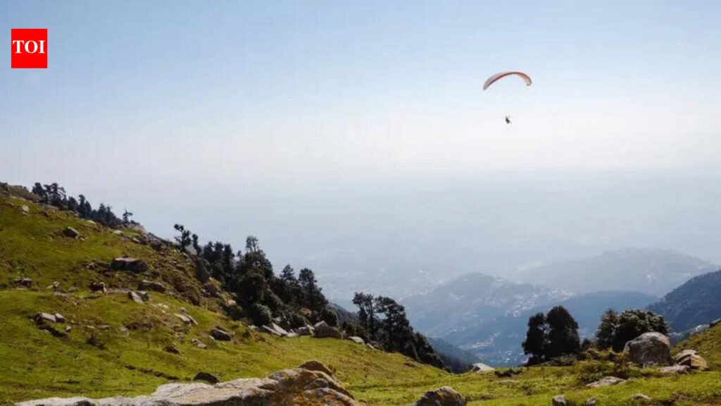 Bungee jumping to paragliding: Punjab plans adventure academy to train youth | Chandigarh News