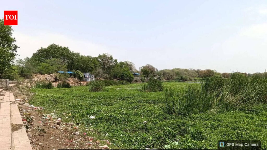 DM orders probe into encroachment allegations in Ghurari River | Kanpur News