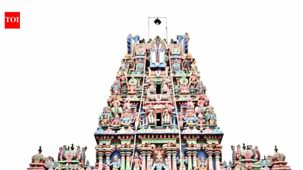 Online bookings soon for Parthasarathy, Mangadu temples | Chennai News
