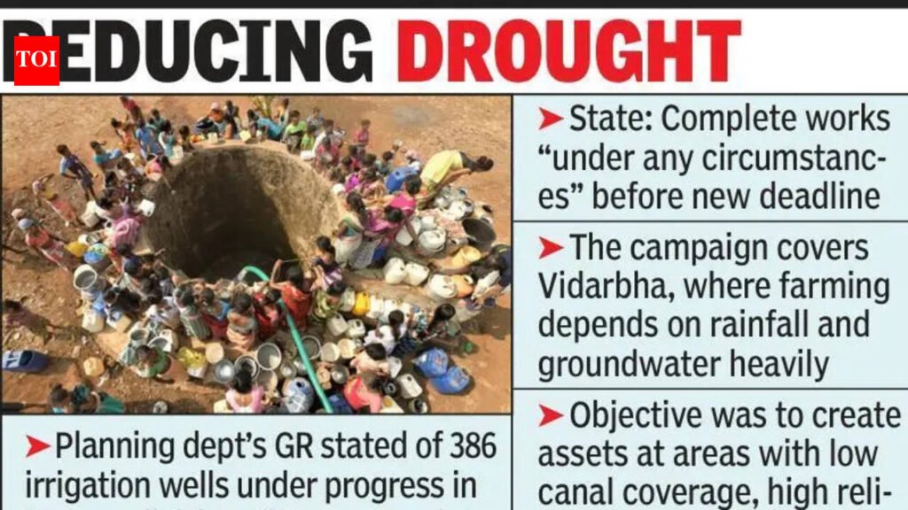 Decade On, Irrigation Well Scheme In Limbo | Nagpur News