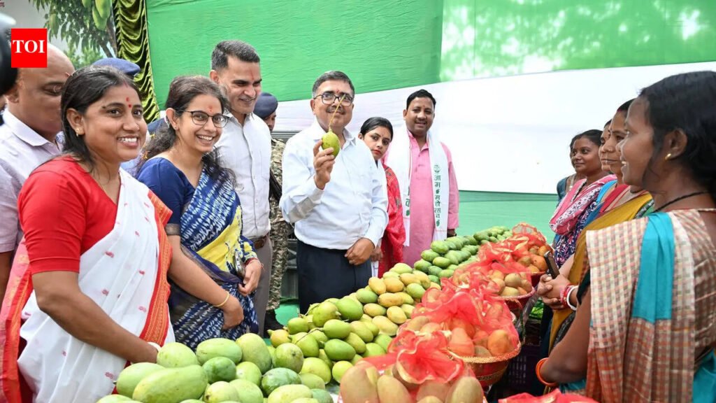 In rural Bokaro, women’s fruits of labour turn them into ‘Lakhpati Didis’ | Ranchi News