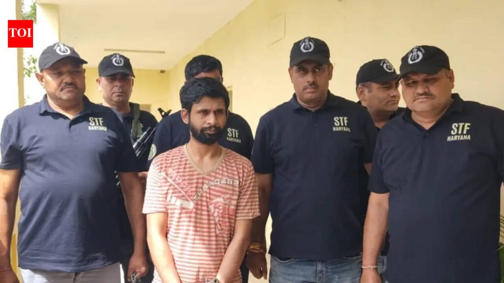 Haryana STF extradites wanted gangster Venkat Garg from Georgia in first-ever India transfer; faces 34 criminal cases | Chandigarh News