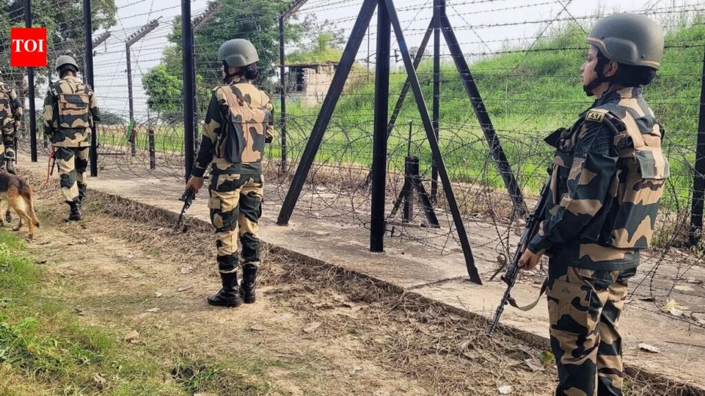 ‘Human shield’ on India border: Bangladesh opposition to launch protest over alleged ‘push-ins’