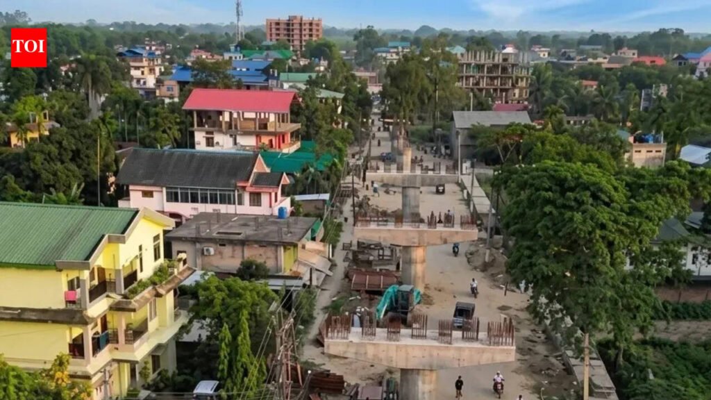 Dibrugarh restricts heavy, medium vehicles’ movement between 9pm & 6am to decongest roads | Guwahati News