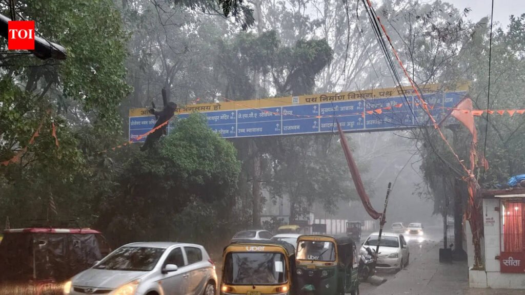 Downpour brings relief from heat | Ranchi News