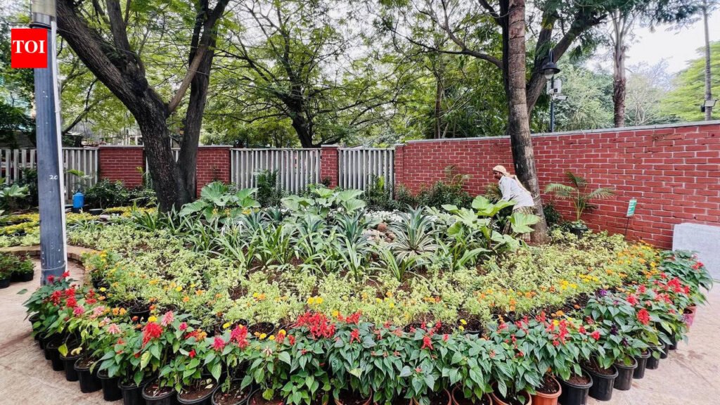 DDA Launches Massive Plantation Drive Across City | Delhi News