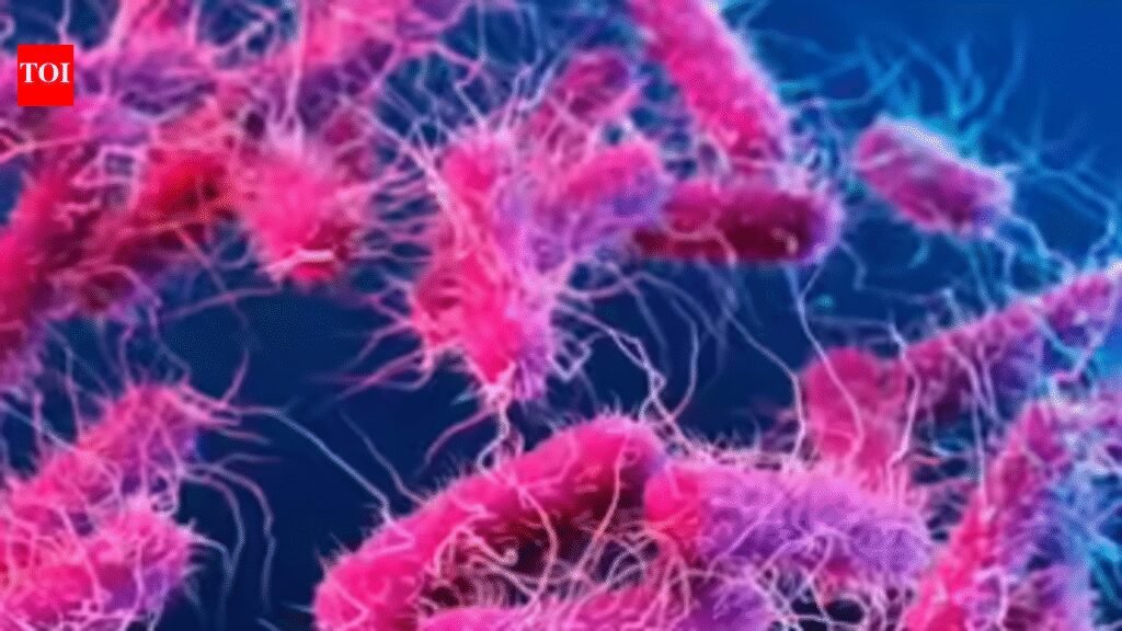 Shigella outbreak spreads to T’puram and Kollam | Thiruvananthapuram News