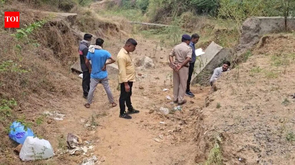 Affair with cousin’s wife ends in murder | Vadodara News