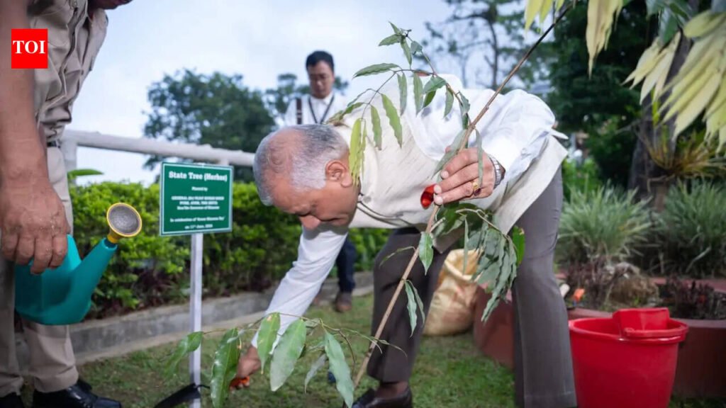 Mizoram guv leads Green Mizoram Day plantation drive | Guwahati News