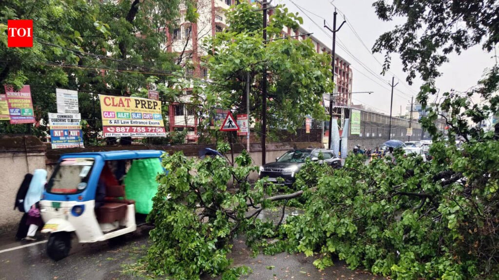 Inclement weather, snapping of wires lead to power cuts in several areas | Ranchi News